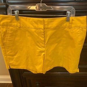 Loft Rivera shorts- size 12